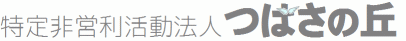 ی㓙fCT[rX@΂Nu